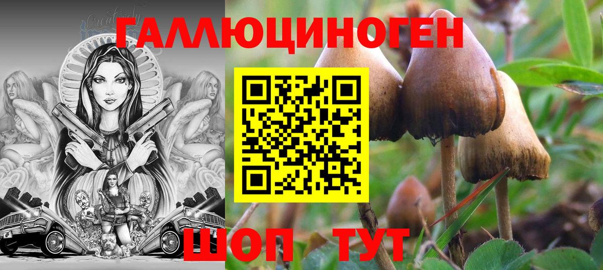 Галлюциногенные грибы Cubensis Лениногорск